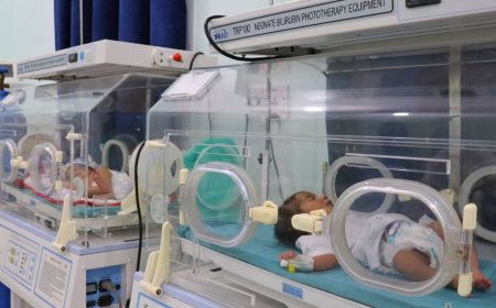 مركز الحضانة في مستشفى محنف بمدينة لودر .. شريان حياة لحديثي الولادة ودعوة لدعمه