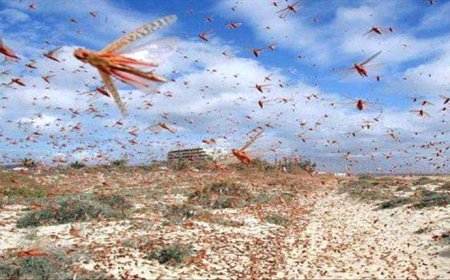 تحذير أممي من غزو قادم لليمن