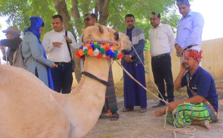 مؤسسة الرناد تستقبل وفداً دولياً لبحث سبل تعزيز التعاون في مجال التراث الثقافي