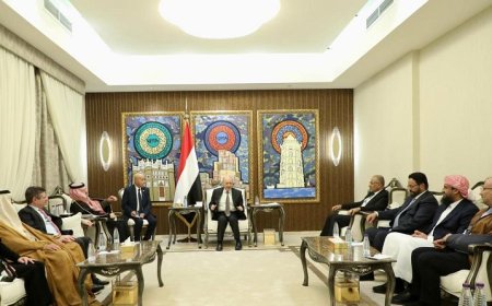 رئيس واعضاء مجلس القيادة يستقبلون سفراء مجموعة بي 3+ 2