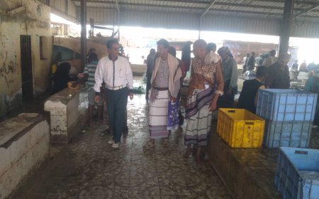 جهود لتعزيز نظافة مراكز بيع الأسماك في زنجبار: زيارة ميدانية للهيئة العامة للمصائد السمكية بابين