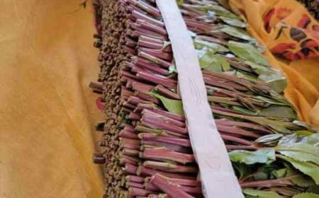 صدق او لا تصدق بيع حبة قات بـ 4 ملايين ريال يمني في العاصمة عدن "سعر تاريخي"