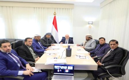 مجلس القيادة الرئاسي يوجه باستكمال عودة جميع مؤسسات الدولة للعمل من عدن