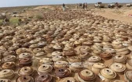 مكتب حقوق الإنسان بالدريهمي يوثق إصابة أربعة أطفال جراء انفجار لغم حوثي مموه