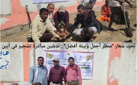 تحت شعار "منظر أجمل وبيئة أفضل" :  تدشين مبادرة تشجير في أبين