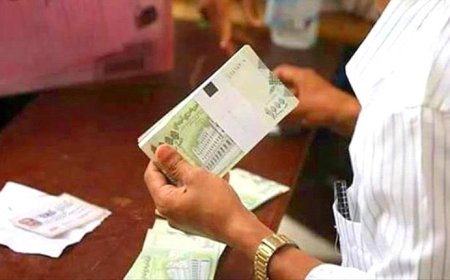 عاجل.. مصدر بمالية الجيش صرف راتب شهرين 