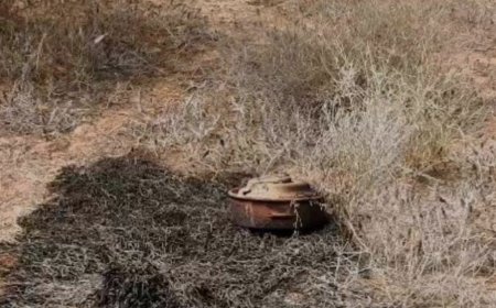 مع آخر ساعات العام 2024م.. لغم حوثي يحصد حياة مزارع ونجله في الحديدة