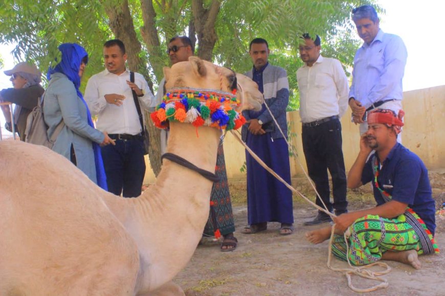 مؤسسة الرناد تستقبل وفداً دولياً لبحث سبل تعزيز التعاون في مجال التراث الثقافي