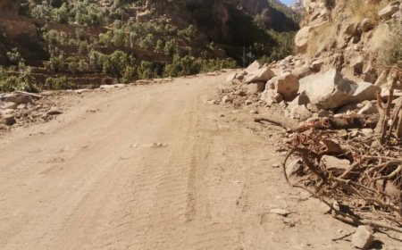 مدير مشروع الفقيد عبدربه الحيدري يتفقد سير العمل بمشروع طريق يهر-ضيك-المفلحي-لبعوس