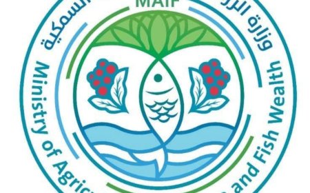 وزارة الزراعة تنفي إيقاف تصدير البصل وتسعى مع السعودية فتح المنفذ قريباً