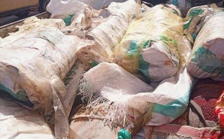 ضبط شحنة اسلحة بالقرب من باب المندب