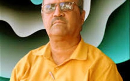 خاطرة شعرية  ( قناديل عشق، وعناقيد ثمار) 