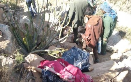 مواجهات قبلية في قعطبة بالضالع تسفر عن قتلى وجرحى 