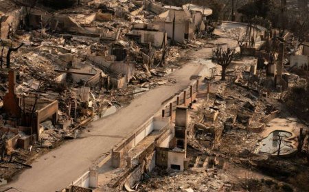 دمار أحياء كاملة وتتحول الى رماد جراء حرائق لوس أنجلوس 