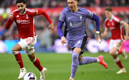 أبرزها لقاء ليفربول ونوتينجهام فورست.. مواعيد مباريات اليوم الثلاثاء 14 يناير 2025 القنوات الناقلة والمعلقين