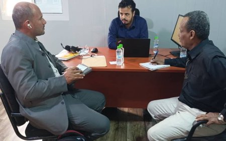 التخطيط والتعاون الدولي وهيئة حماية البيئة تناقشان مشاريع التكيف مع التغيرات المناخية بالحديدة 