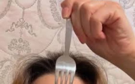 هل شوكة الطعام تخلصك من الشيب؟