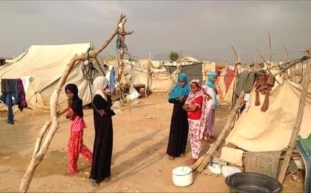 الهجرة الدولية تؤكد انخفاض حالات النزوح باليمن