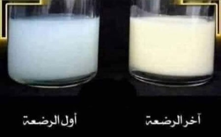 نصائح هامة للرضاعة الطبيعية أنواع حليب الأم