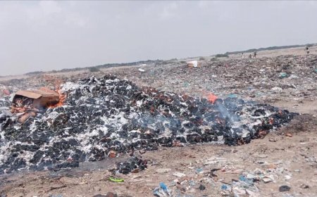 صحة البيئة بالمنصورة تسحب وتتلف 116 الف قطعة كيك لول غير صالحة للاستهلاك