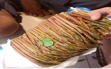 أبرزها القات.. موجة الصقيع في اليمن تتسبب في ارتفاع أسعار المحاصيل الزراعية 