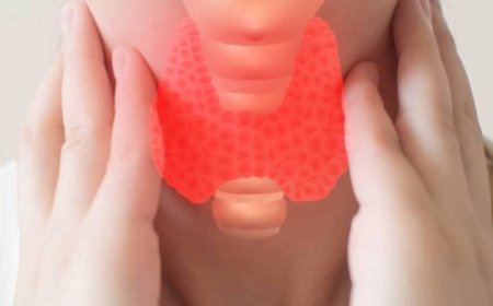 بهذه الأعراض تعرف إذا كانت #الغدة_الدرقية لديك نشطة أم خاملة !!