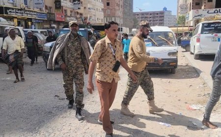 مدير المنصورة يوجه بإغلاق مكاتب النقل الدولي الممتنعة عن سداد الرسوم السياحية