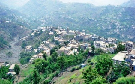 جريمة بشعة تهز تعز.. مواطن يقدم على قتل زوجته وأطفاله 