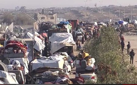 تقرير.. نازحو #غزة يواجهون المشقة في طريق العودة
