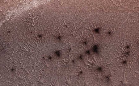 عناكب المريخ.. ناسا ترصد ظاهرة غريبة