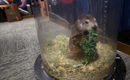 الأرصاد الأميركية ترد على تنبؤات "المرموط" بعد الخطأ الفادح