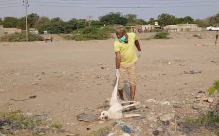 مكتب الأشغال العامة خنفر يقوم بحملة لمكافحة الكلاب الضالة والمسعورة بالمديرية