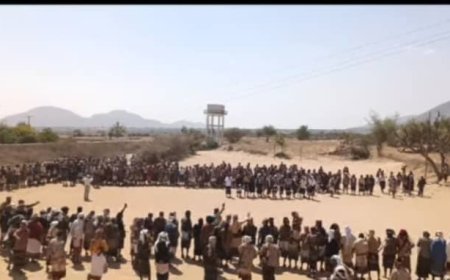 قبائل ال عوذلة تنجح في مسند انهاء قضية اصابة احد ابناء شوحط