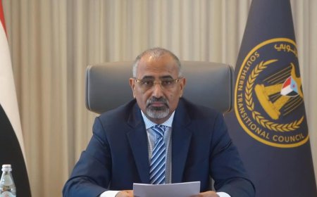 الرئيس الزُبيدي يشارك في مؤتمر الاتحاد من أجل التسامح والأخوة الإنسانية لمكافحة التطرف في جنيف(عبر الاتصال المرئي)
