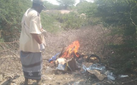 مكتب اشغال خنفر يقوم بحملة لمكافحة الكلاب الضالة والمسعورة بمدينة شقرة.