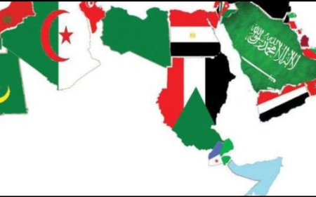 قمة عربية طارئة في مصر بدعوة من فلسطين لاتخاذ موقف عربي حيال دعوة ترمب لتهجير سكان غزة