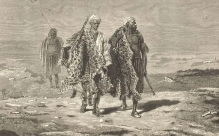 النمر العربي: جوهرة الجزيرة العربية المهددة بالانقراض