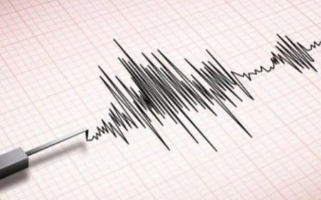 الانذار المبكر بحضرموت يرصد زلزال بحري قرب سواحل أبين تبعد 40 كيلومترا عن مدينة زنجبار