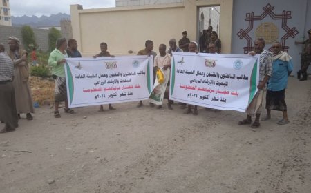 باحثو وفنيو وعمال الهيئة العامة لليحوث والإرشاد الزراعي ينفذون وقفة احتجاجية للمطالبة بمرتباتهم