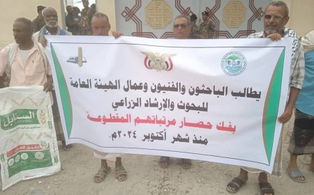 عدن: باحثو وفنيو وعمال الهيئة العامة لليحوث والإرشاد الزراعي ينفذون وقفة احتجاجية للمطالبة بمرتباتهم