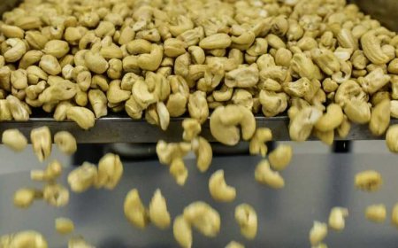 فوائد غير متوقعة.. ماذا يحدث لجسمك عند تناول الكاجو بانتظام