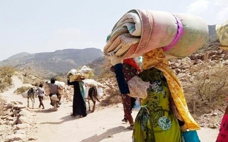 الهجرة الدولية: تراجع حالات النزوح في اليمن خلال فبراير 2025