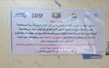 افتتاح دورة تدريبية لأعضاء بنك البذور المجتمعي في الحوطة وتبن لتعزيز الأمن الغذائي