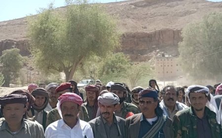 إنهاء نزاع طويل بين آل قديمة وآل ضباب في جردان بدعم من محافظ شبوة وحلف قبائلها