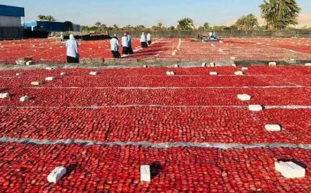 تحت شعار "التجفيف من أجل التخفيف" (صور)