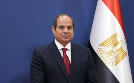 مصر.. السيسي لن يحضر أي محادثات في البيت الأبيض إذا كان تهجير سكان غزة على جدول الأعمال