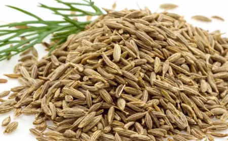 فوائد صحية كبيرة.. الكمون مكونا مغذيا ومفيدا في النظام الغذائي اليومي