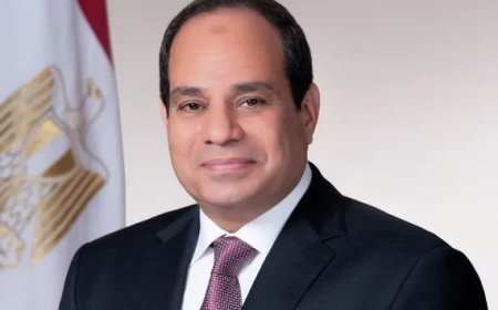 الرئيس السيسى: ترحيل وتهجير الشعب الفلسطينى “ظلم لا يمكن أن نشارك فيه”
