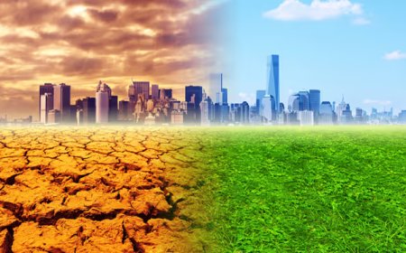 منظمة الشفافية الدولية تحذر من التأثير “المدمر” للفساد في مكافحة تغير المناخ عالميا