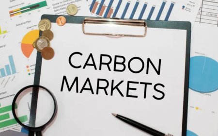 هل تساعد أسواق الكربون في سد فجوة تمويل المناخ بعد أزمة المساعدات الأمريكية؟